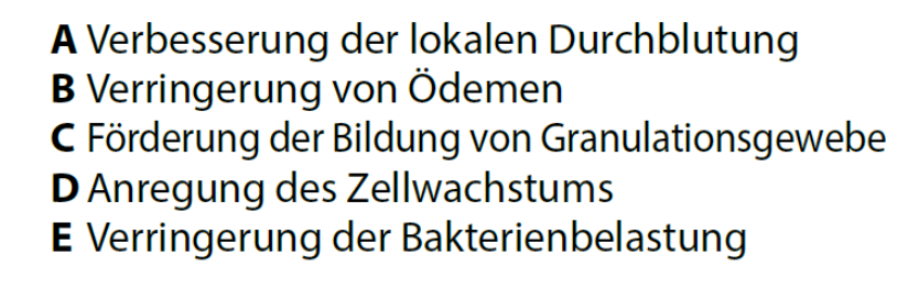 CADITEC WaterlilyTS-Infografik